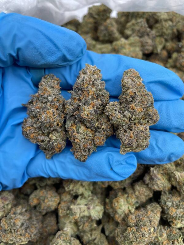 Buy Blueberry Kush Online