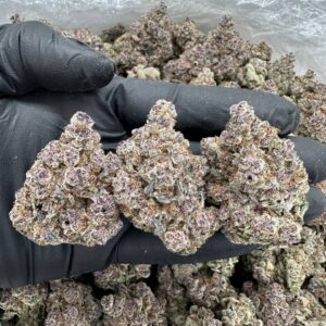 Buy Grand Daddy Purple Online