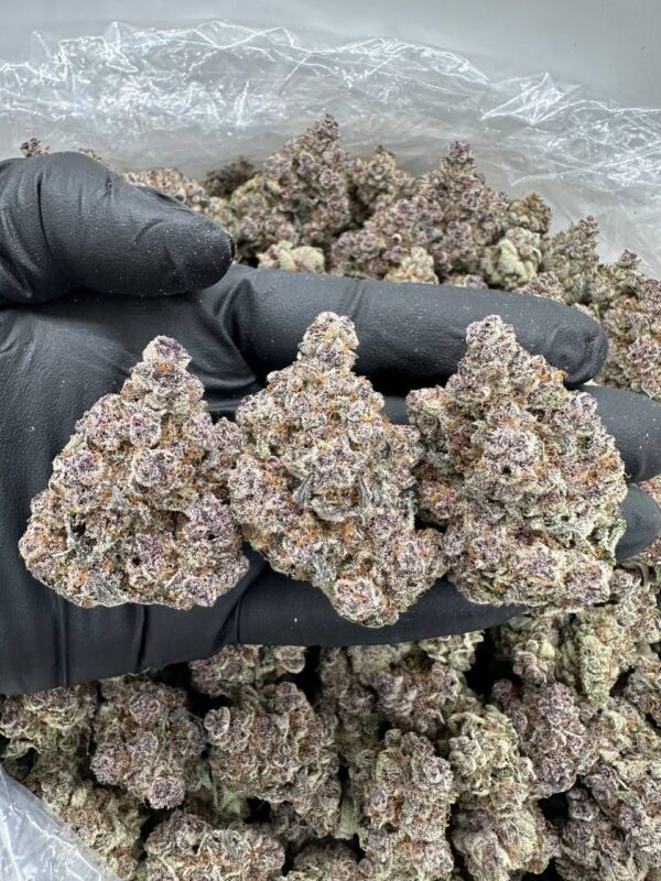 Buy Grand Daddy Purple Online