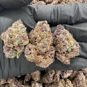 Buy Khalifa Kush Online