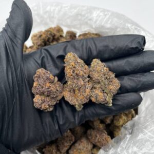 Buy Purple Kush Online