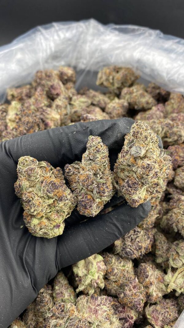 Buy Purple Punch Online